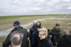 Kleine-Polder-Termunterzijl_9866