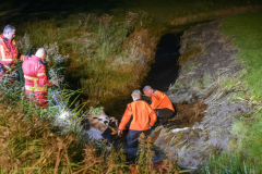Koe-in-de-sloot-Fivelweg-Appingedam_5753