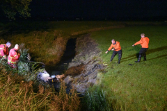 Koe-in-de-sloot-Fivelweg-Appingedam_5819