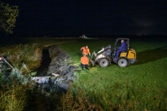 Koe-in-de-sloot-Fivelweg-Appingedam_5906