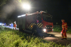 Koe-in-de-sloot-Fivelweg-Appingedam_6069