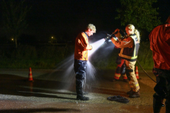 Koe-in-de-sloot-Fivelweg-Appingedam_6124