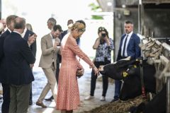 Bezoek-Koninklijk-Paar-Stedum_5954