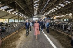 Bezoek-Koninklijk-Paar-Stedum_6043