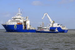 Sandy-Coast-2025-Marine_4275