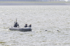 Sandy-Coast-2025-Marine_5226