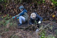 Natuurwerkdag-junior-Holwierde_1122