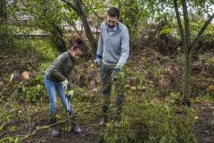 Natuurwerkdag-junior-Holwierde_1166