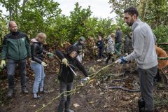 Natuurwerkdag-junior-Holwierde_1203