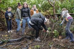 Natuurwerkdag-junior-Holwierde_1236