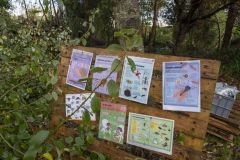 Natuurwerkdag-junior-Holwierde_1311