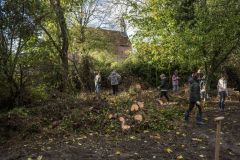 Natuurwerkdag-junior-Holwierde_1323