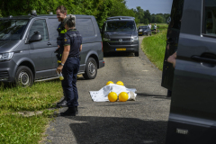 Pop-hoofd-gevonden-Eeldwerderweg_6795