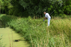 Pop-hoofd-gevonden-Eeldwerderweg_6815