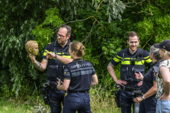 Pop-hoofd-gevonden-Eeldwerderweg_6905