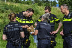 Pop-hoofd-gevonden-Eeldwerderweg_7043
