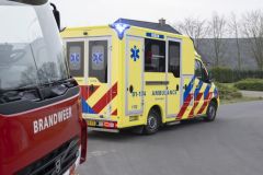 Persoon-te-water-Bredeweg-Bierum_8739