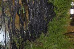 Branden-Delfzijl-en-Appingedam_2813