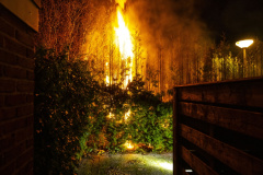 Coniferenbrand-Bosplaat-en-Robbeplaat_3250