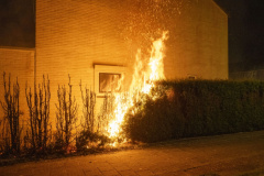 Coniferenbrand-Bosplaat-en-Robbeplaat_3309