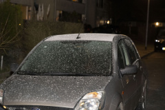 Coniferenbrand-Bosplaat-en-Robbeplaat_3355