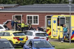 Steekincident-Klein-Finland_6883