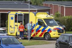 Steekincident-Klein-Finland_7006