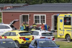 Steekincident-Klein-Finland_7097