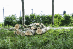 Stormschades_9217