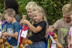 Stoetboom-Holwierde_5471