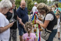 Stoetboom-Holwierde_5497