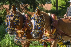 Koetsentocht_6848