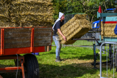 Oldtimerdag-Leermens-en-opening-Dorpshuis-Termunten_1767