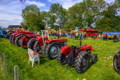 Oldtimerdag-Leermens-en-opening-Dorpshuis-Termunten_2119