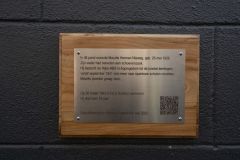 Muurschildering-Appingedam13