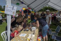 Opendag-paardemelkerij_4113
