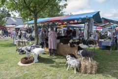 Opendag-paardemelkerij_4148