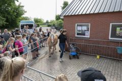 Opendag-paardemelkerij_4154
