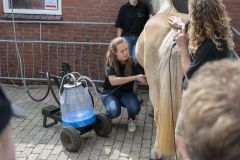 Opendag-paardemelkerij_4162