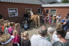 Opendag-paardemelkerij_4206