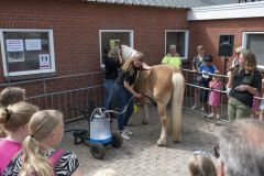 Opendag-paardemelkerij_4217