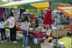 Opendag-paardemelkerij_4276