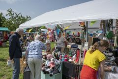 Opendag-paardemelkerij_4395