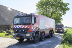 brand-godlinze-1