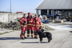 brand-godlinze-3