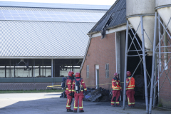 brand-godlinze-4