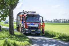 brand-godlinze-5