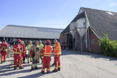 brand-godlinze-6