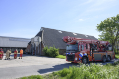 brand-godlinze-7