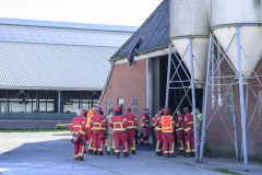 brand-godlinze-8